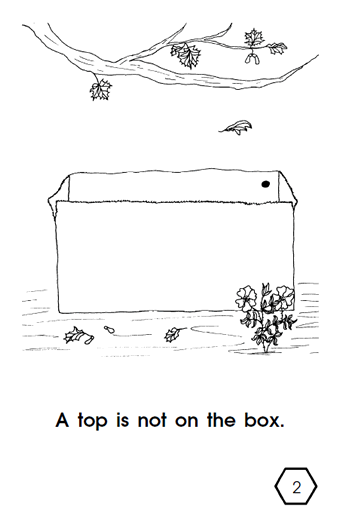 Fun Phonics :: The Box